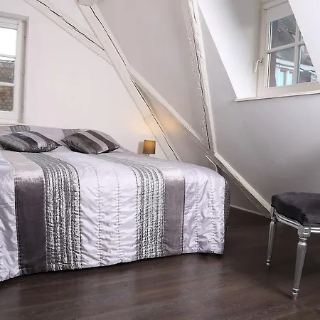 Daire My Sweet Homes - La Grenouillere Hypercentre Colmar