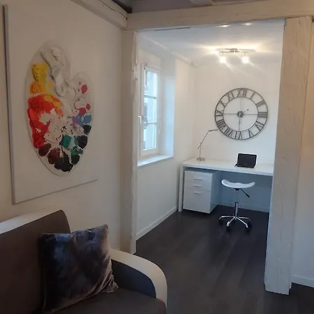 Apartamento My Sweet Homes - La Grenouillere Hypercentre Colmar