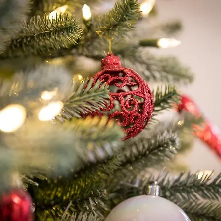 My Sweet Homes - La Grenouillère Hypercentre Appartamento Colmar