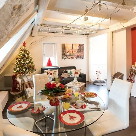 My Sweet Homes - La Grenouillère Hypercentre * Colmar