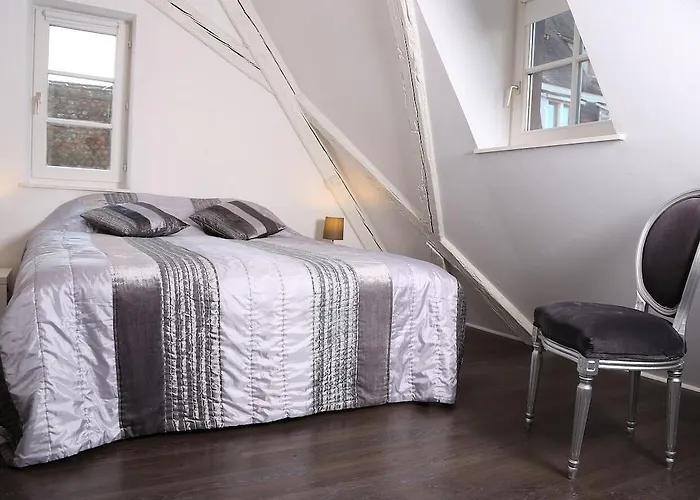 Appartamento My Sweet Homes - La Grenouillère Hypercentre Colmar