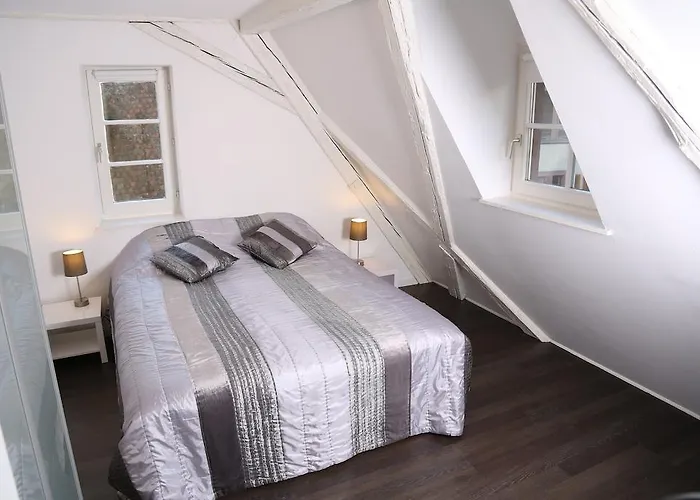 Apartment My Sweet Homes - La Grenouillere Hypercentre