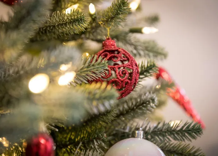 My Sweet Homes - La Grenouillere Hypercentre Apartment Colmar